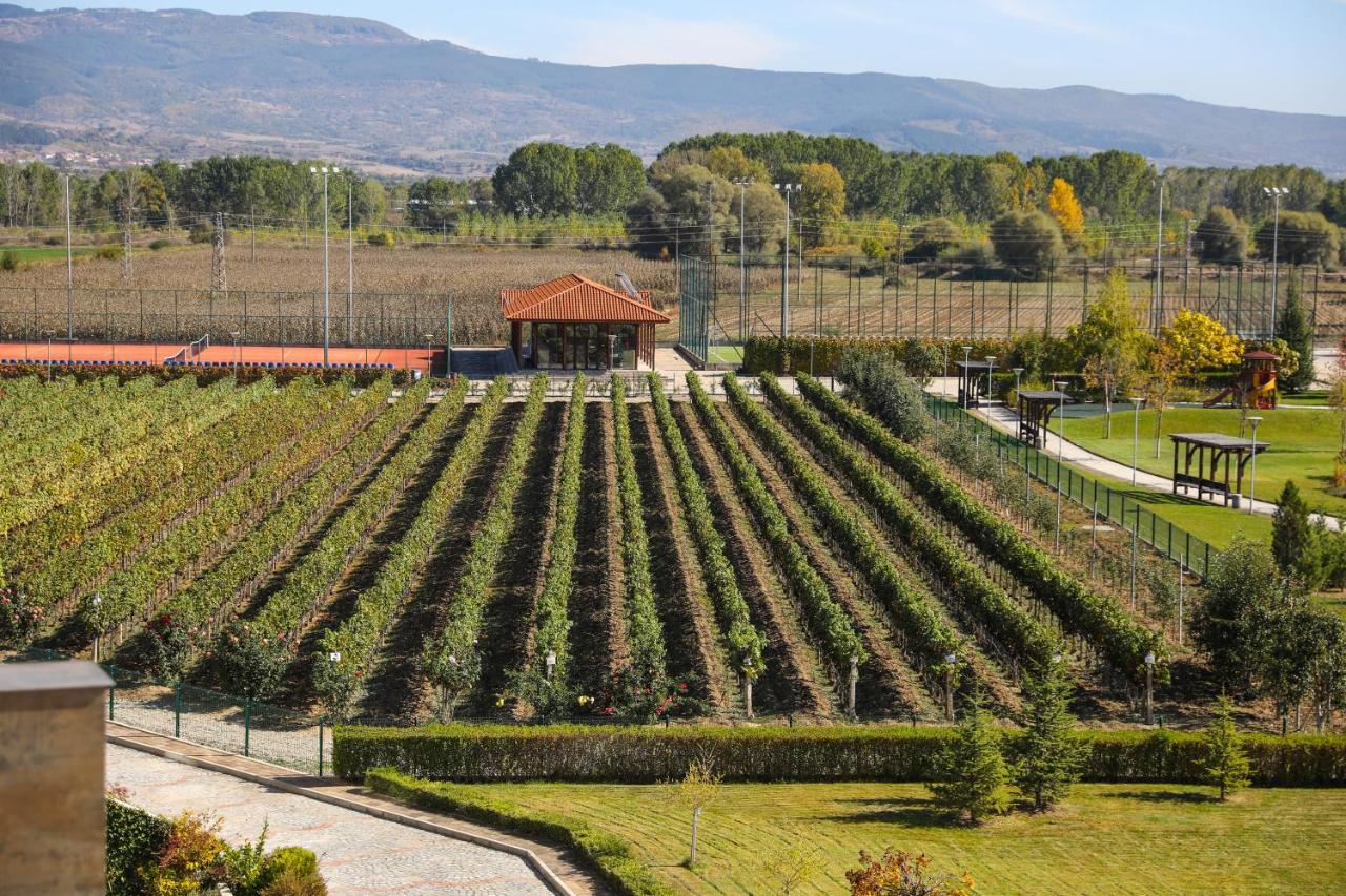 Uva Nestum Wine & Spa Goţe Delcev Exterior foto