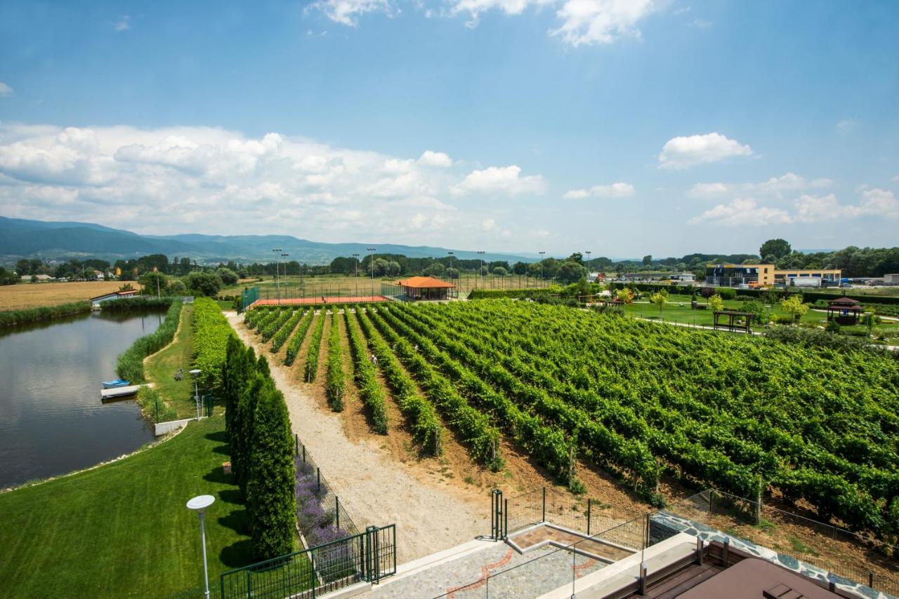 Uva Nestum Wine & Spa Goţe Delcev Exterior foto