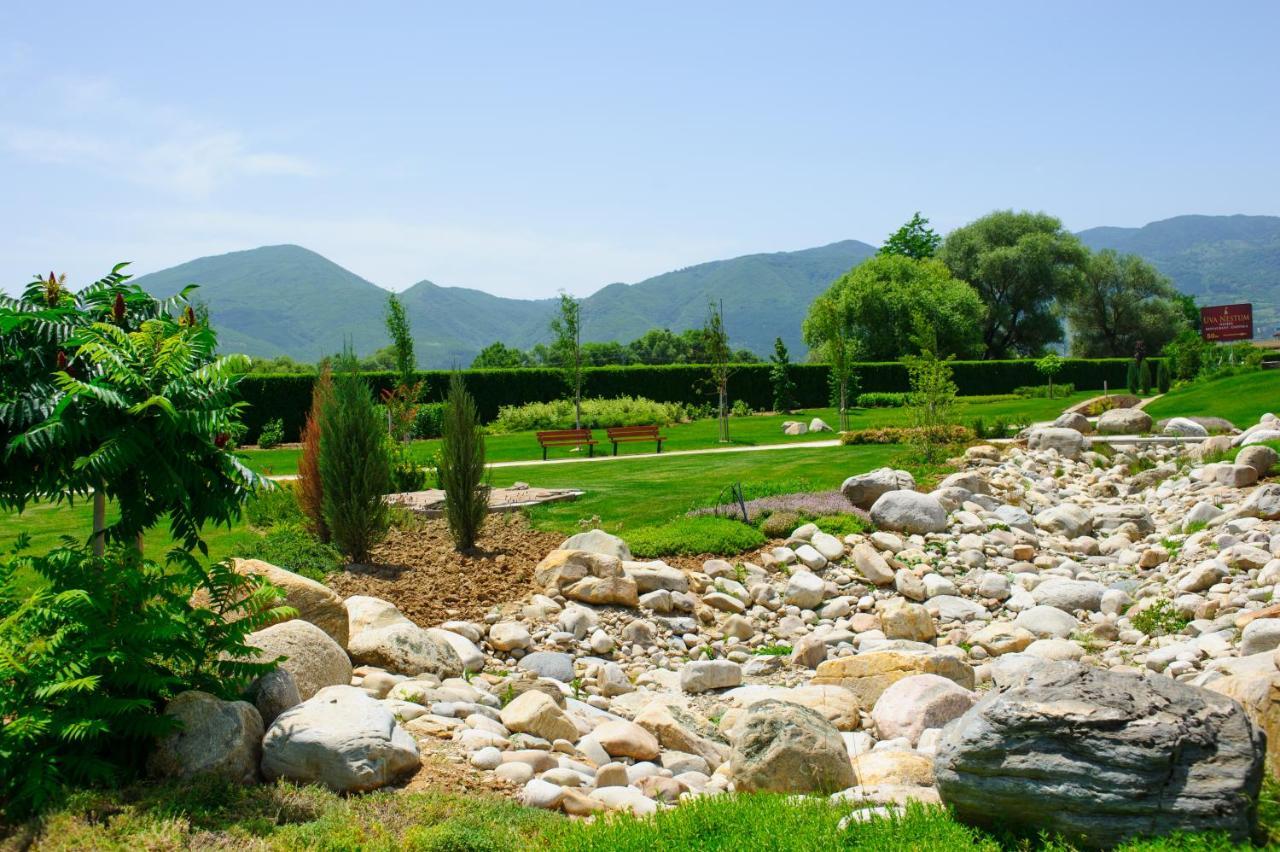 Uva Nestum Wine & Spa Goţe Delcev Exterior foto